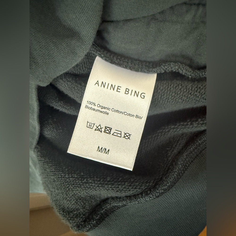 Anine Bing - Ash Hoodie Eagle - Faded Emerald Green - Picture 11 of 13